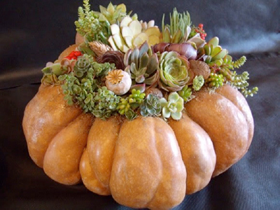 Step Five.... Finished pumpkin with succulents.